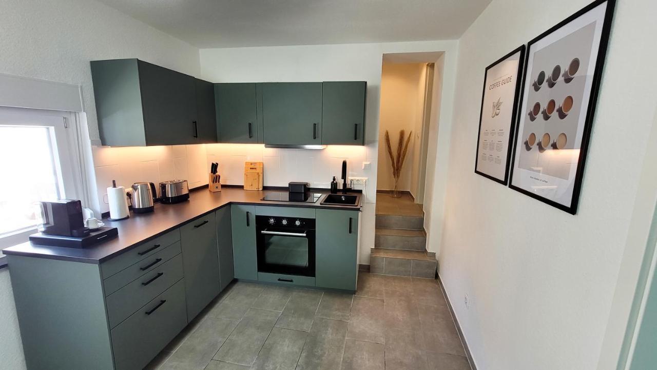 Business & Family - Zentral, 24H Check-In, Xxl Tv Apartment Зигбург Екстериор снимка